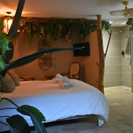 Insolite Avec Jacuzzi Privatif Apartment *